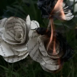 Paper Roses
