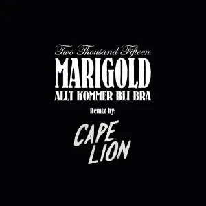 Allt kommer bli bra (Cape Lion remix)