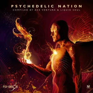 Psychedelic Warrior