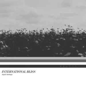 International Bliss