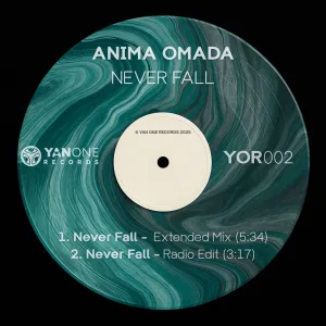 Never Fall - Extended Mix