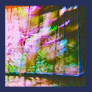 Terrarium