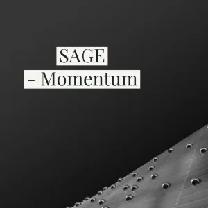 Momentum