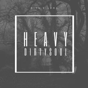 Heavy DirtySoul