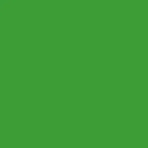 wallet green
