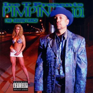 Pimpin 101