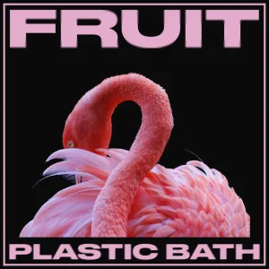 Fruit
