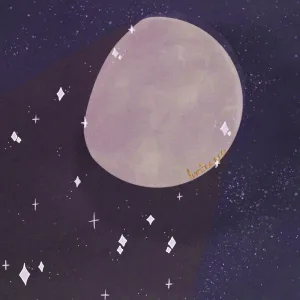 Firework