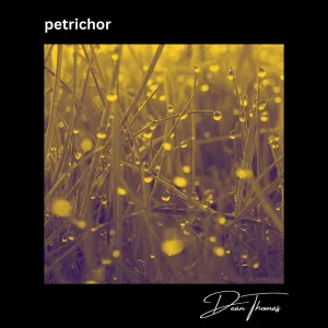 Petrichor