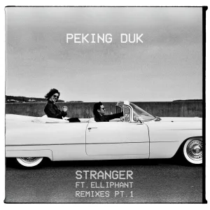 Stranger (Destructo remix)