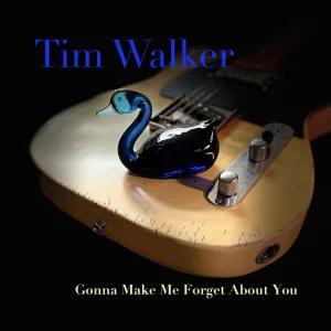 Gonna Make Me Forget About You
