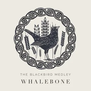 The Blackbird Medley: If I Were a Blackbird / The Kilmovee Jig / Lammas Reel