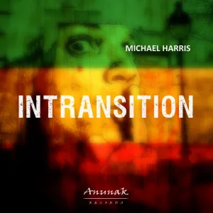 inTransition (Radio Edit)