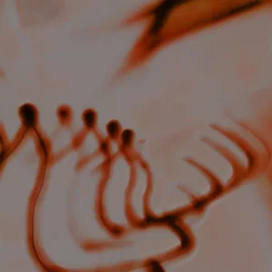 Cut Deeper