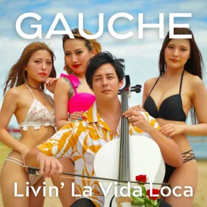 LIVIN' LA VIDA LOCA (Cover)