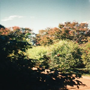 Dechanatstr