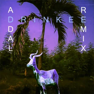 Drinkee (The Knocks remix)