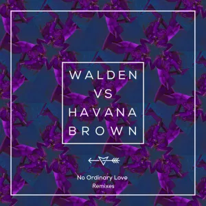 No Ordinary Love (Walden Vs. Havana Brown) [Walden Festival Mix] (Walden Festival Mix)