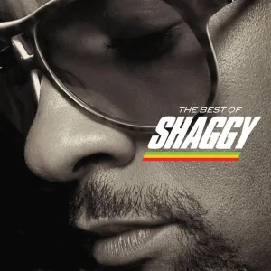 That Girl (feat. Shaggy)