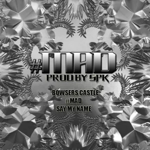 Bowsers Castle