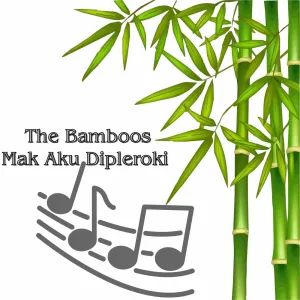 Mak Aku Dipleroki