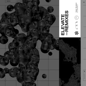 Elevate (t e s t p r e s s Remix)