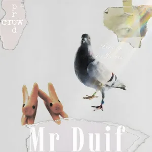 Mr duif