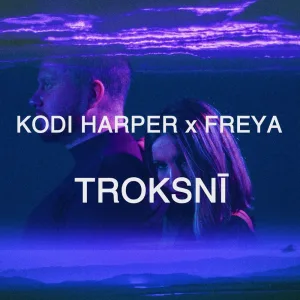 Troksnī