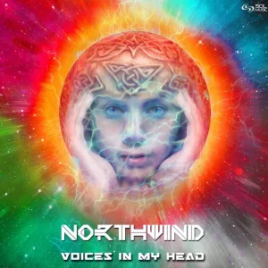 Voices in My Head (Original Mix)