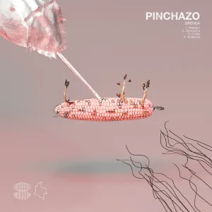 Arracacha