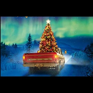 I'm coming home for Christmas