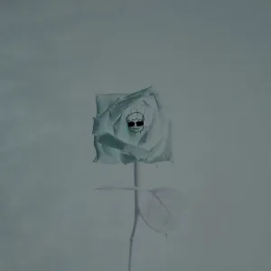 Rose Flower