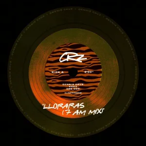 Lloraras (7am Mix)