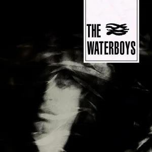 I Will Not Follow (2002 Remaster)