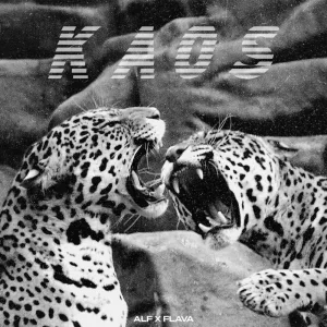 KAOS