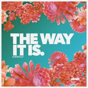 The Way It Is (Radio Edit)