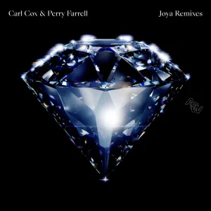 Joya (Vintage Culture Remix - Radio)