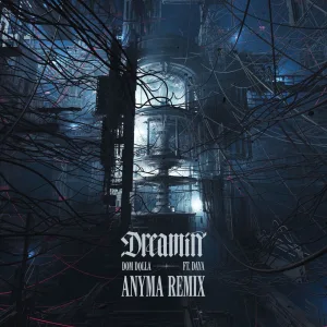 Dreamin’ (Anyma remix)