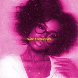 wild thoughts (slowed & reeverb)