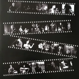 Who Wants to Be the Disco King? (Live)