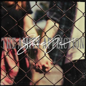Album artwork for Shine On by The Amity Affliction