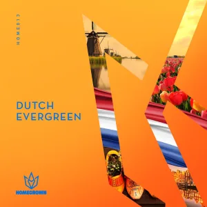 Zin In Morgen