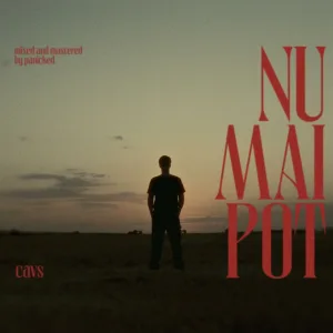 NU MAI POT