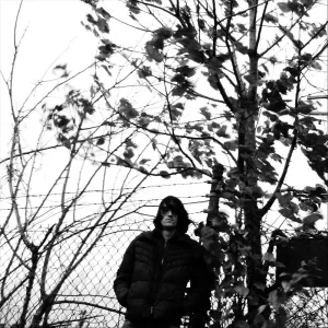 Nobody's Brother II