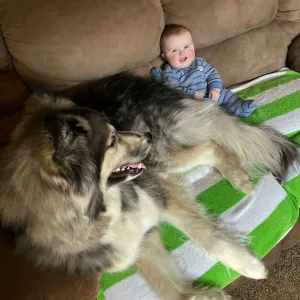 Bite Me