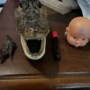 RAMPAGING ANXIETY