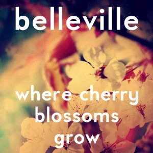 Where Cherry Blossoms Grow