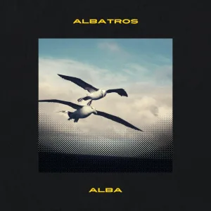 Albatros