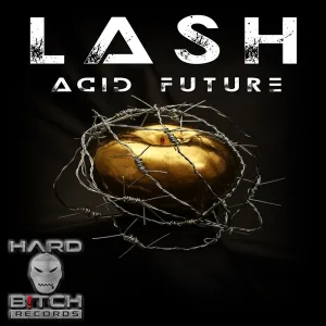 Acid Future (Bush Pig Remix)