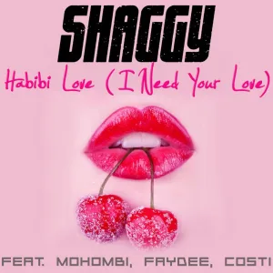 Habibi Love (I Need Your Love) (feat. Mohombi, Faydee & Costi)